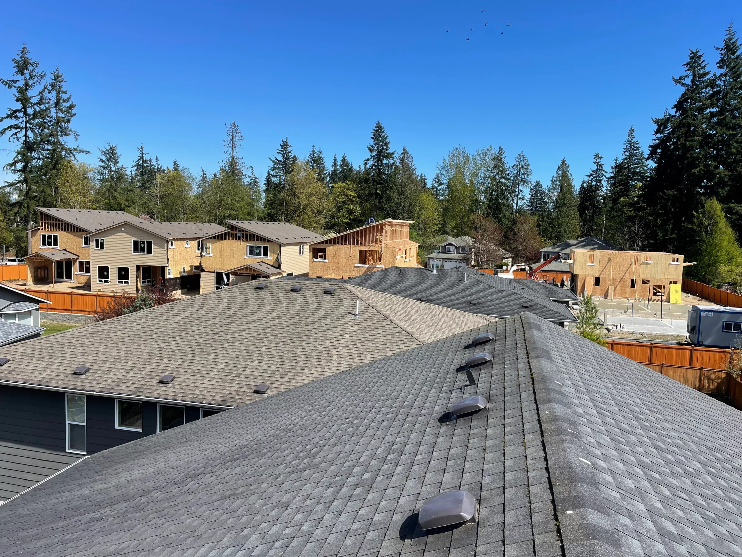 Bothell WA homes rooftops
