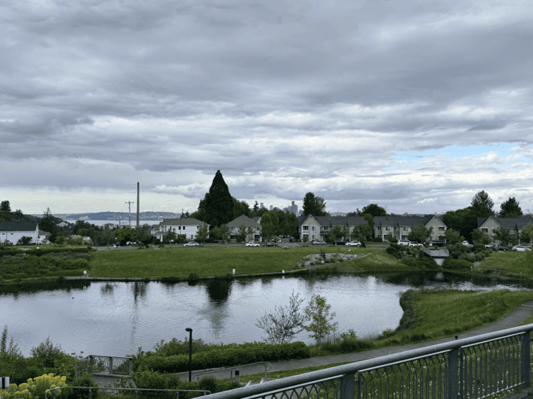 West Seattle Real Estate Guide: Waterfront, Walkability, and Local Charm