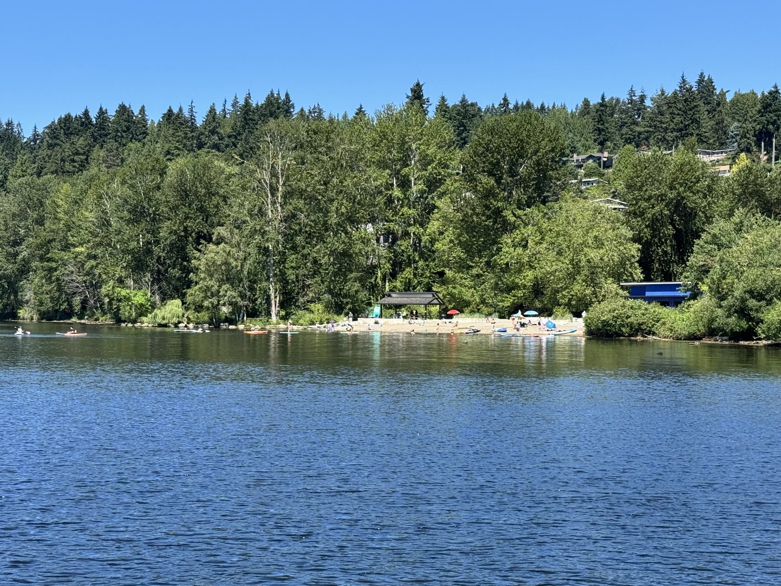 Log Boom Park Bothell Kenmore scaled